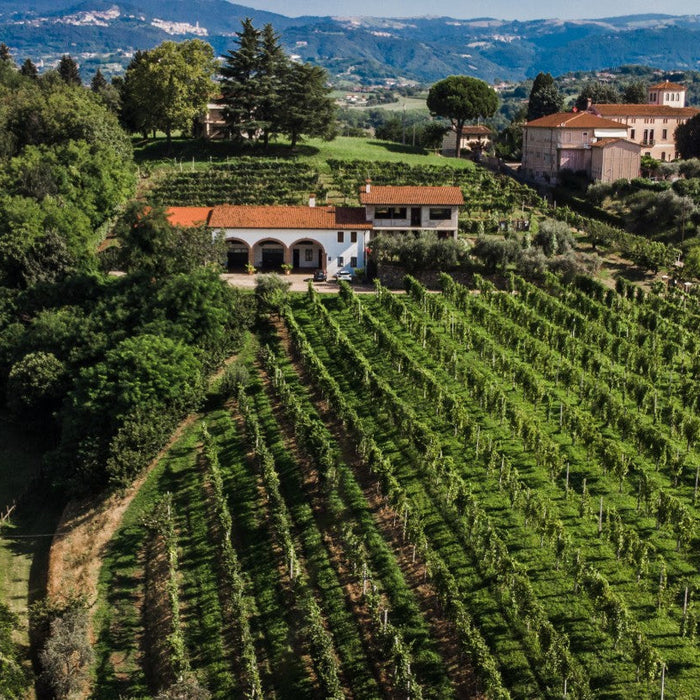 Firmino Miotti: Custodi della terra, creatori di vini, ambasciatori di cultura.