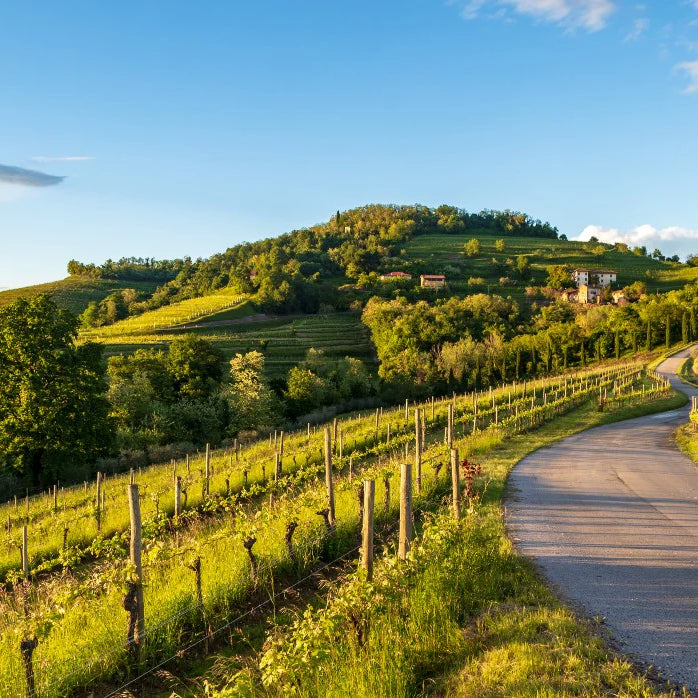 Il Friuli Venezia Giulia ed i suoi territori