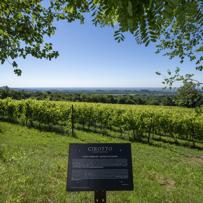 Eocene vino frizzante bianco non filtrato  -  Cirotto - vaigustando