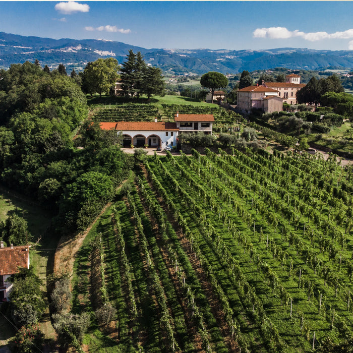 Fondo 53 Rosato Rifermentato in bottiglia  -  Firmino Miotti - vaigustando