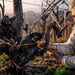 Rabbiosa Vecchio Vitigno vino bianco frizzante rifermentazione naturale in bottiglia  -  Pat del Colmel - vaigustando