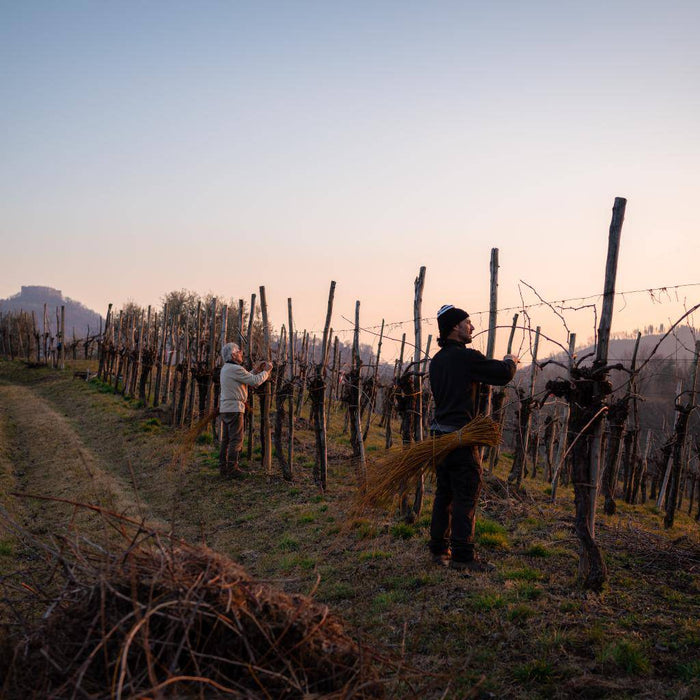 Asolo Montello Rosso della Rocca Cabernet Franc DOC annata 2022  -  Pat del Colmel - vaigustando